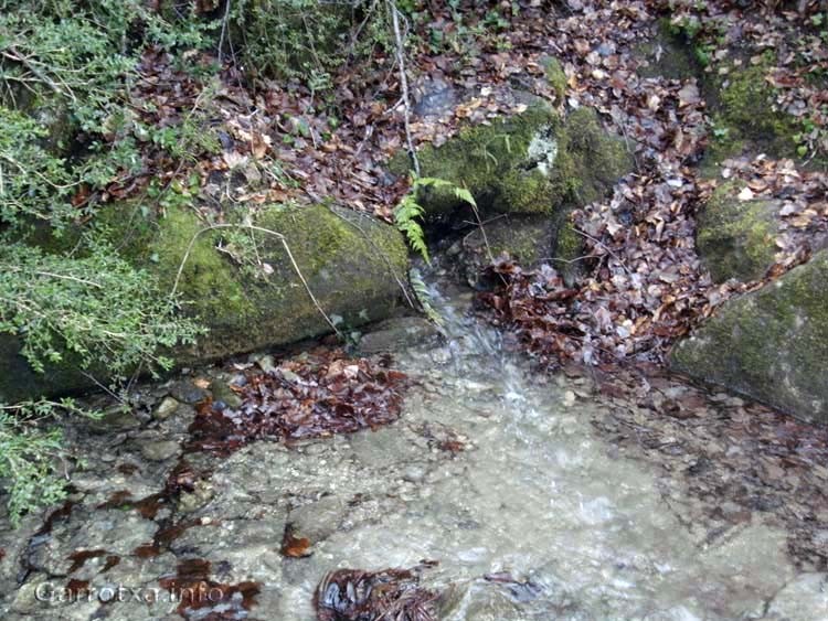 006 Surt aigua de sota les pedres